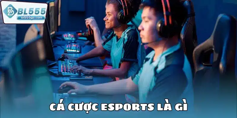 Cá Cược Esports Tại BL555 - Chơi Rank 2 esport_bl555