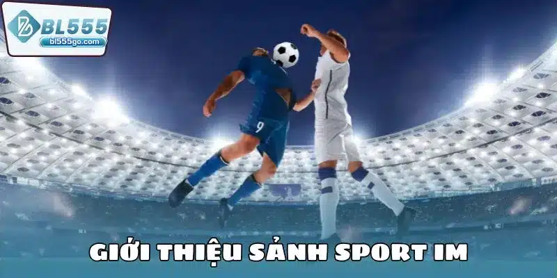 Kinh Nghiệm Cá Cược IM Sports Chuyên Nghiệp Từ A–Z 2 kinh-nghiem-ca-cuoc-im-gioi-thieu